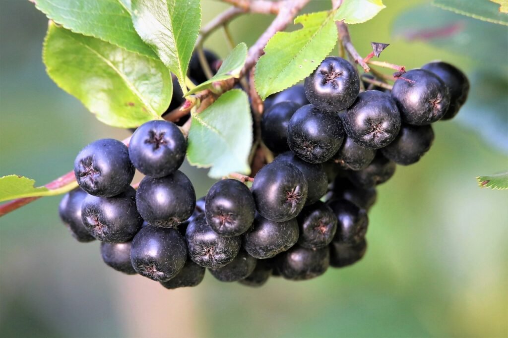 Foods That Lower Blood Pressure Quickly