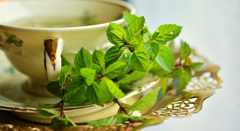 Best Teas for Gut Health