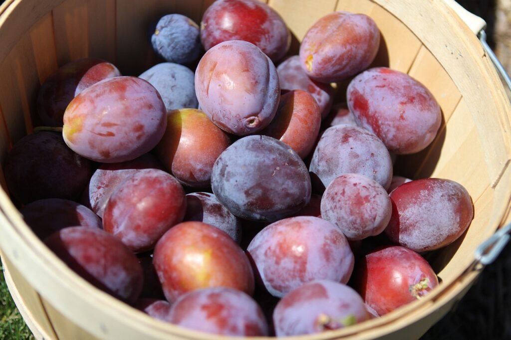 Foods to Relieve Constipation