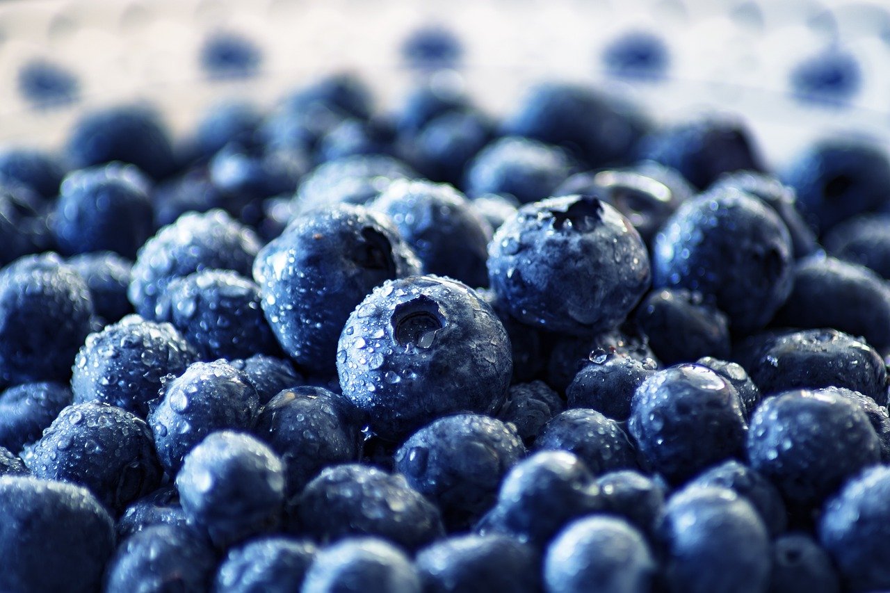 Eat Blueberries Every Day