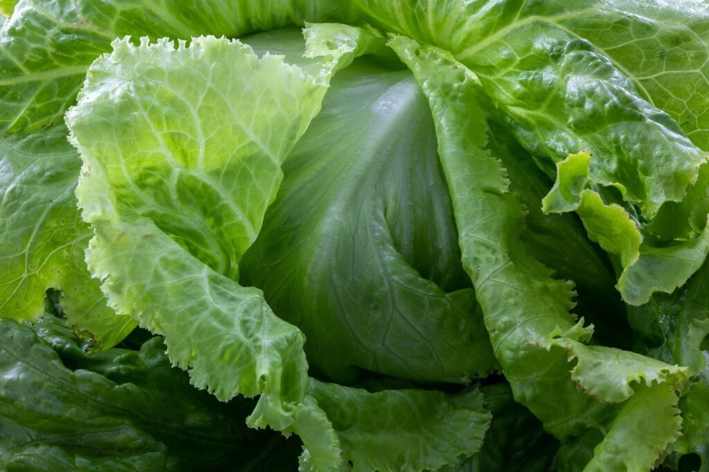 Best and Worst Foods for Gout
