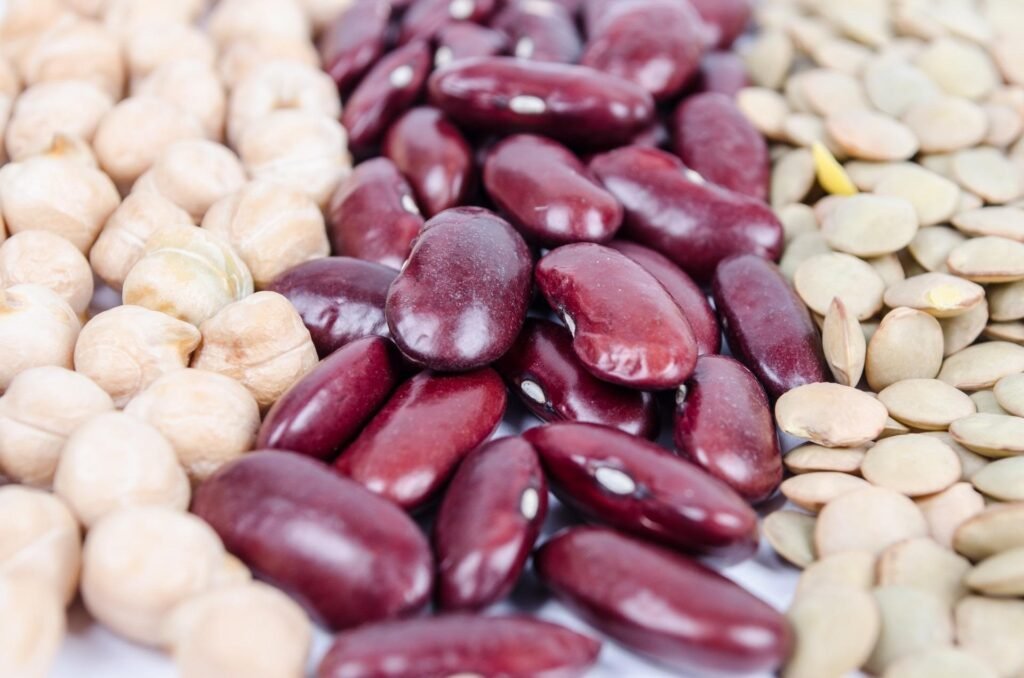Highest Foods in Iron