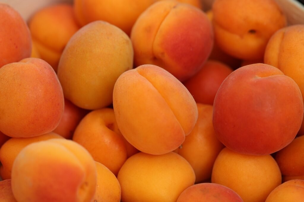 Best fruits for protein intake Apricots