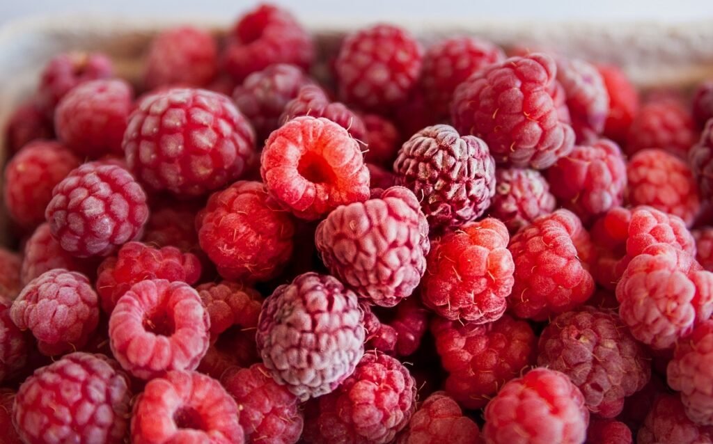 Best fruits for protein intake Raspberries