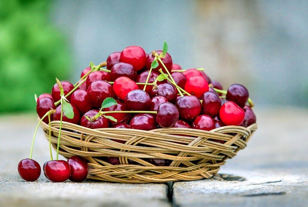 Best fruits for protein intake Protein Cherries