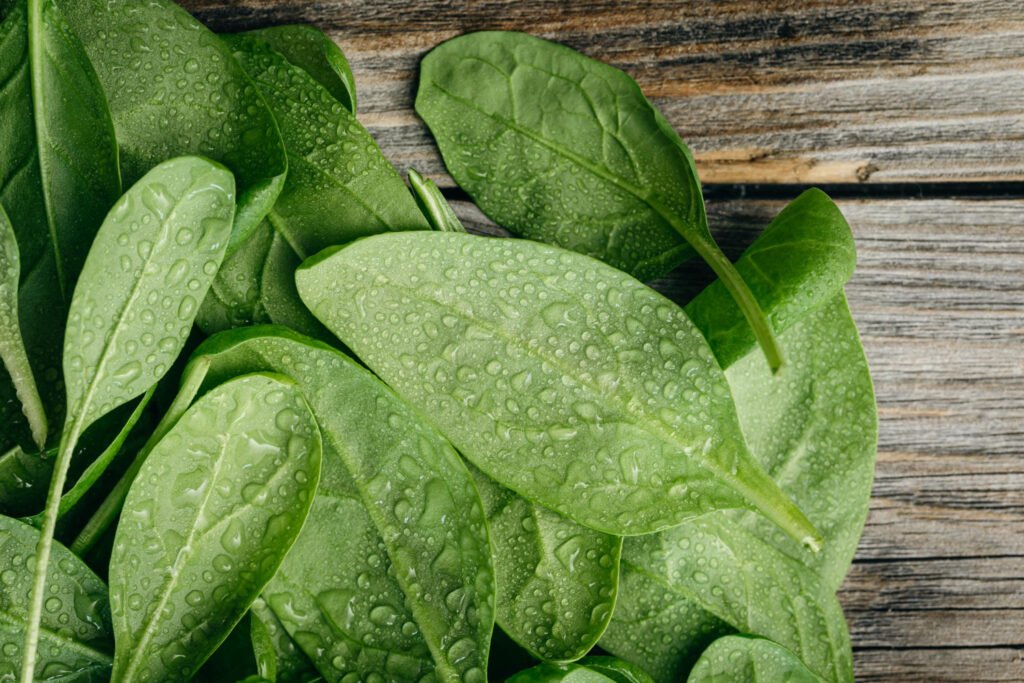 Best Foods for Blood Circulation
