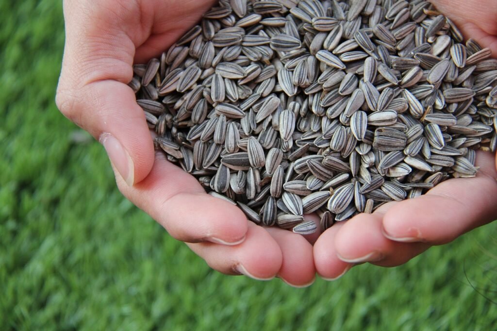 Best Foods for Blood Circulation

