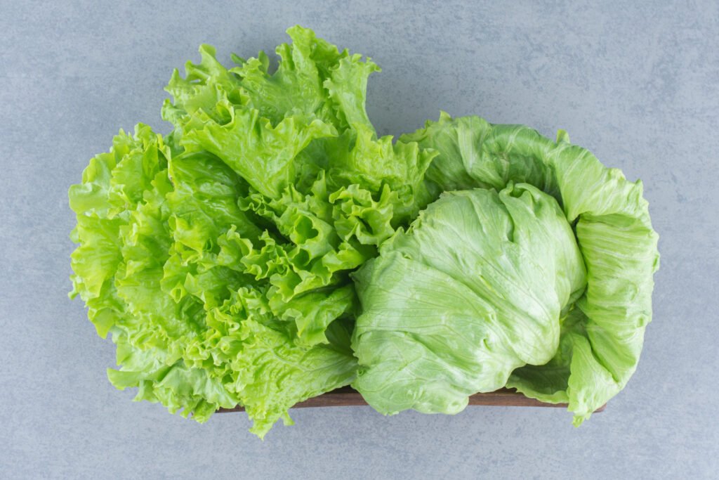 Health Benefits of Cabbage