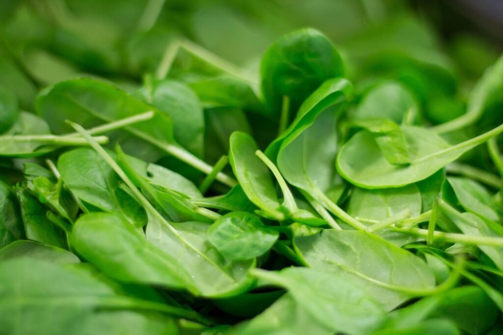 The 8 Best Foods for Your Healthy Weight Journey
