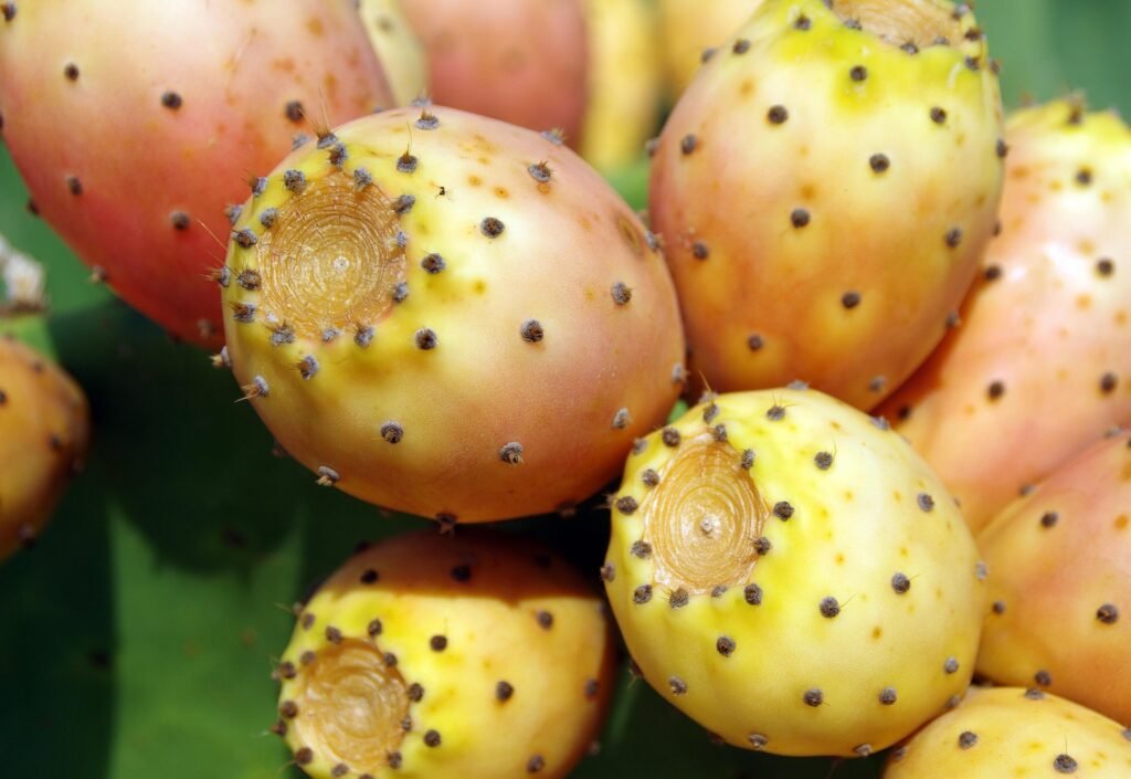 fruits that are rich in magnesium