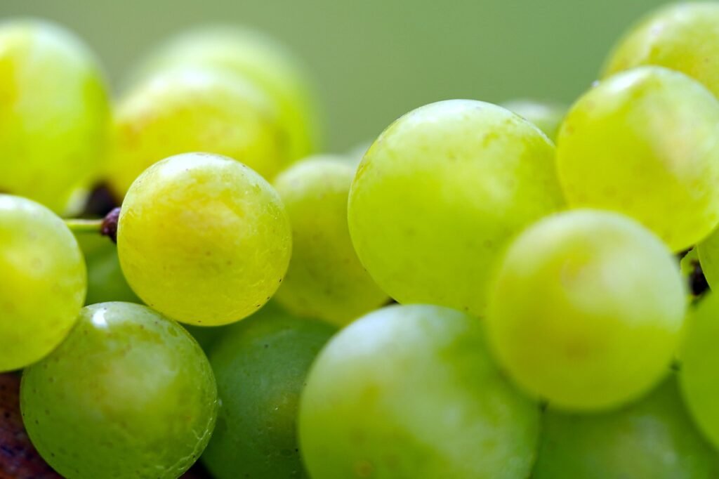 Health Benefits of Green Grapes