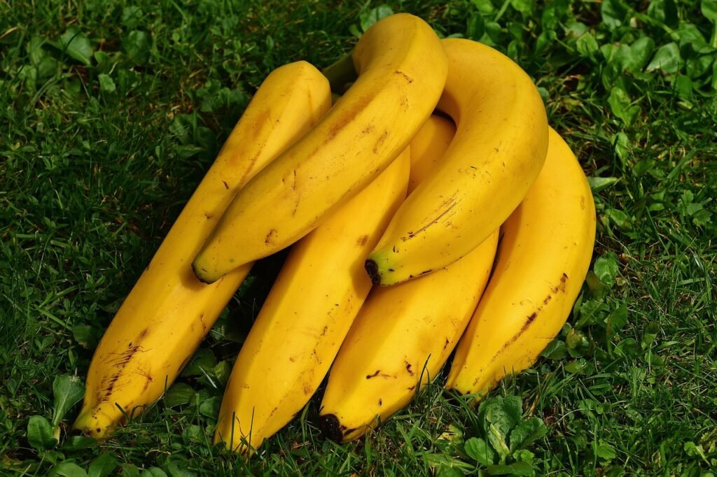 Health Benefits of Bananas