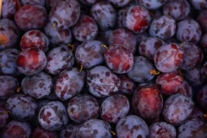 11 Impressive Health Benefits of Eating Plums Daily for Your Body