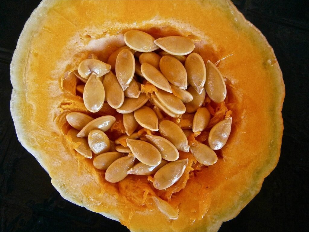 Pumpkin Seeds Nutrition Benefits and Healthy Uses