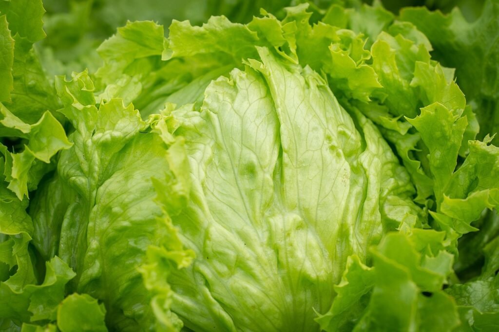 11 Hydrating Foods That Help Keep You Healthy