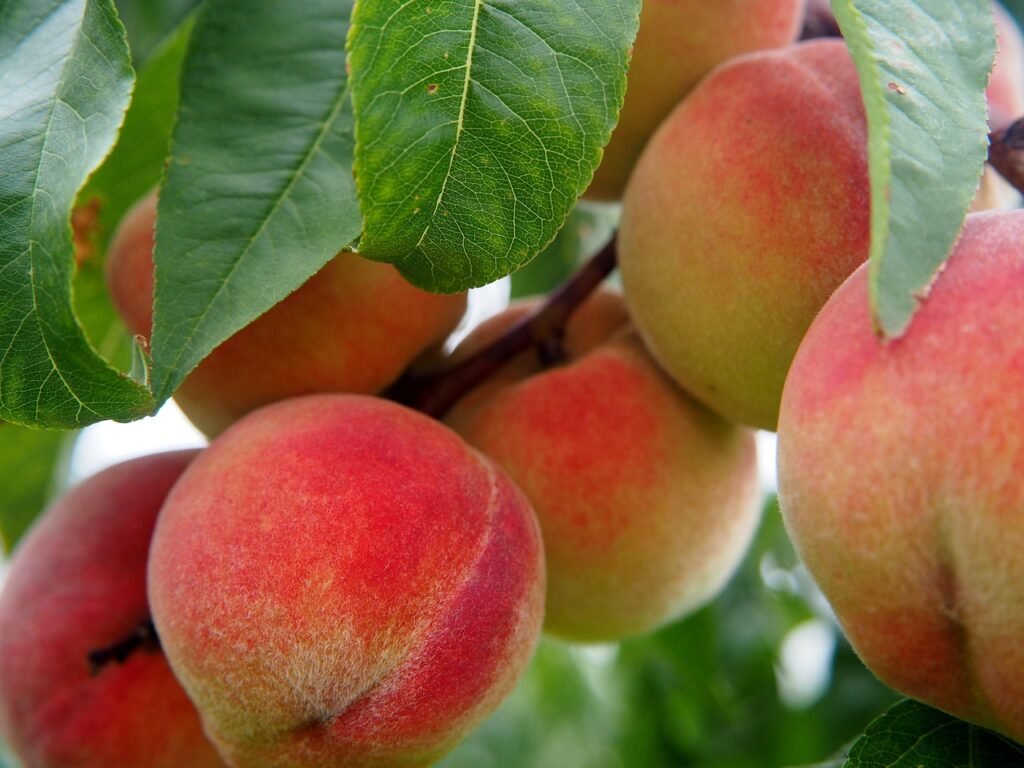 11 Hydrating Foods That Help Keep You Healthy