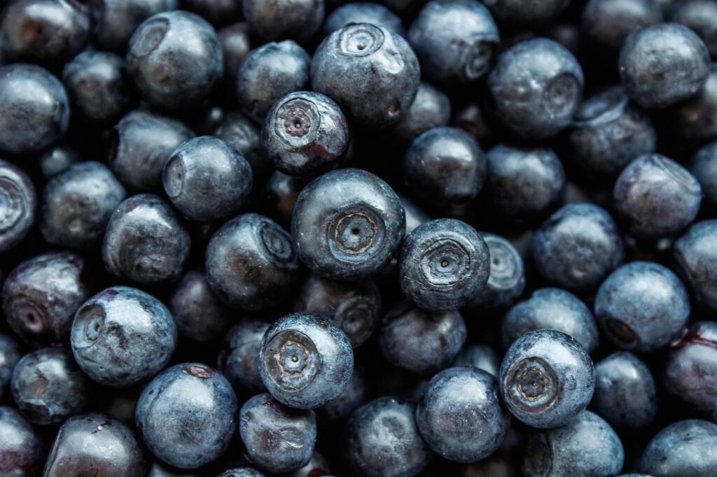 Health Benefits of Blueberries