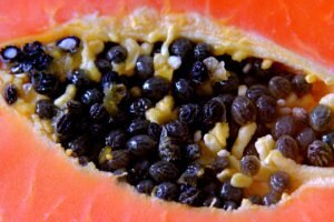 Papaya Seeds Benefits: Natural Detox & Digestive Health