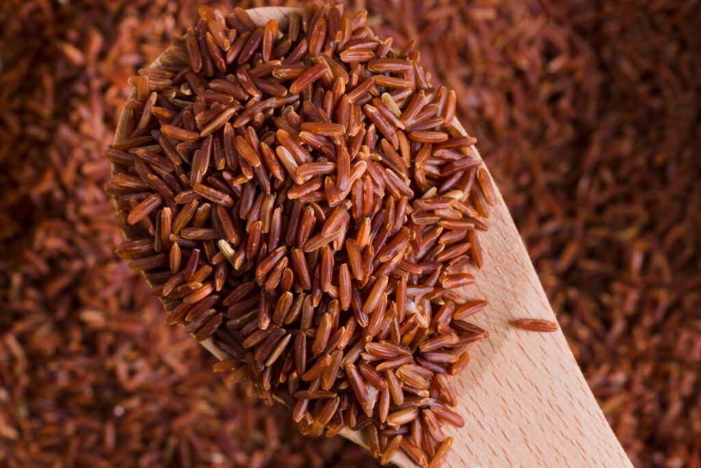 Brown Rice vs White Rice