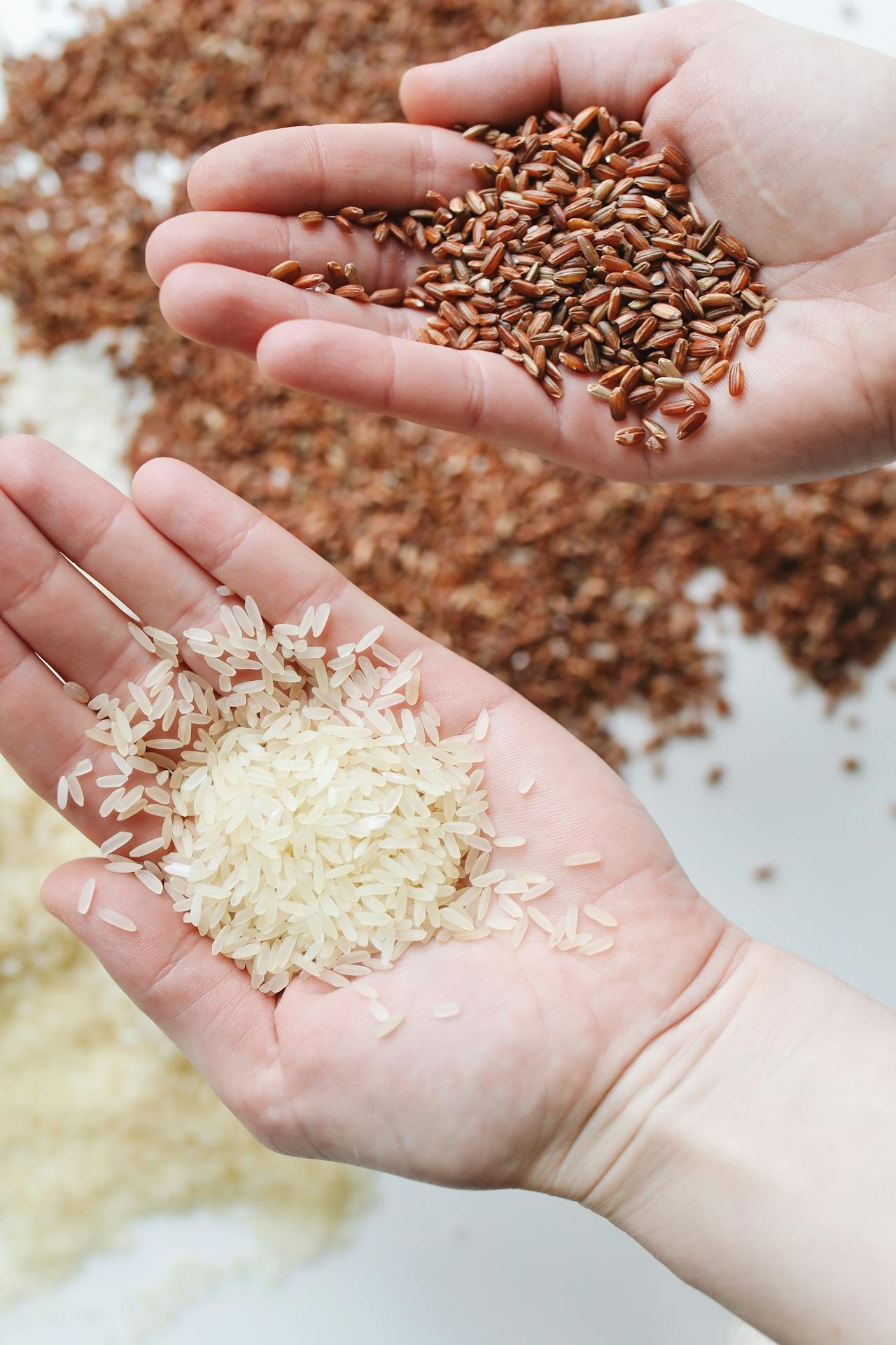 brown rice vs white rice